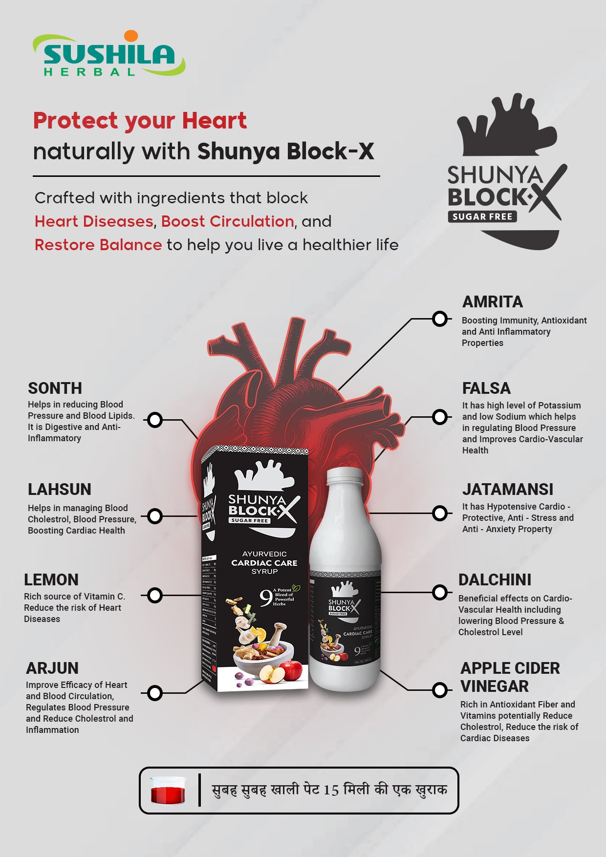 Shunya Block X Syrup (Sugar Free)