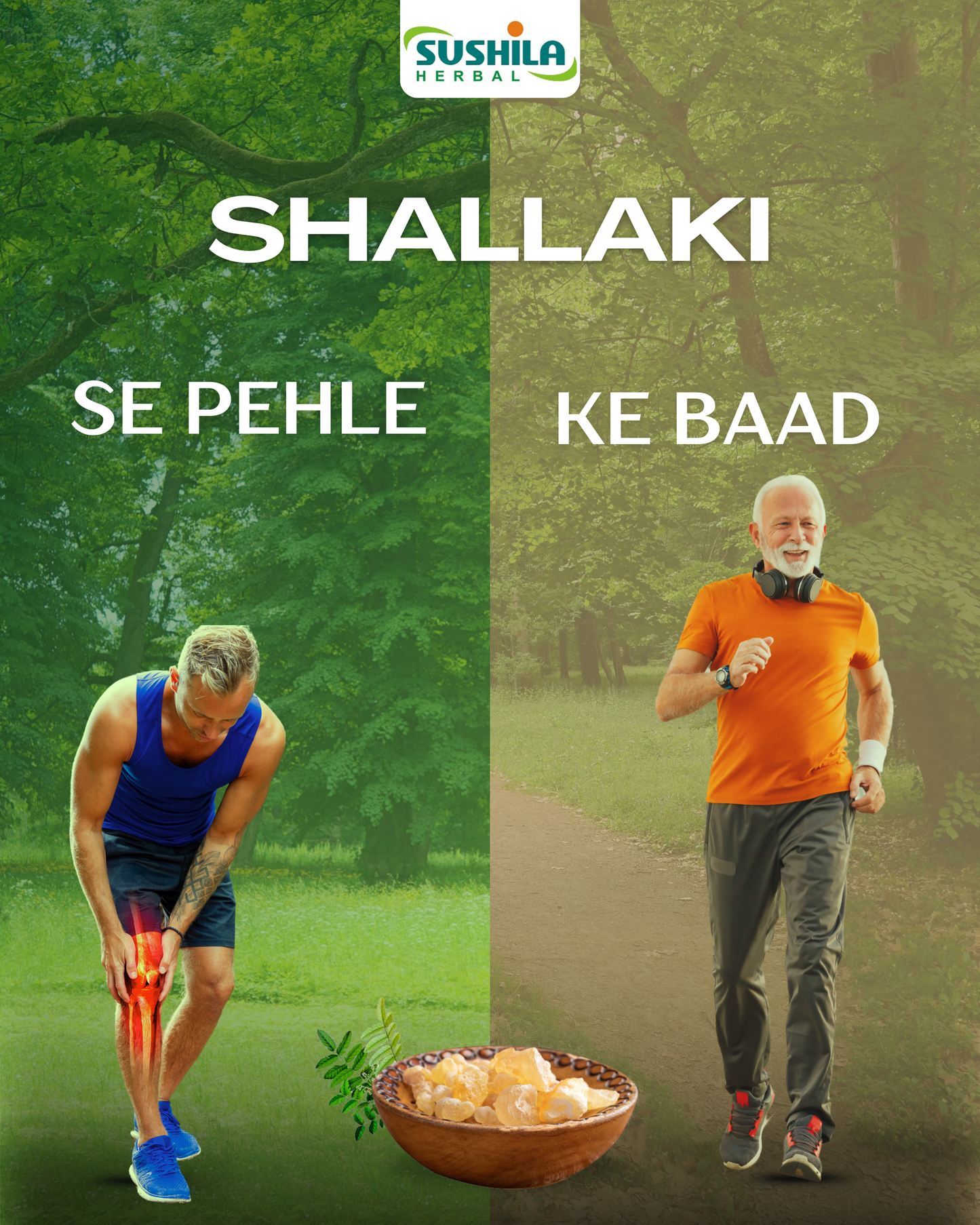 Shallaki Tablets